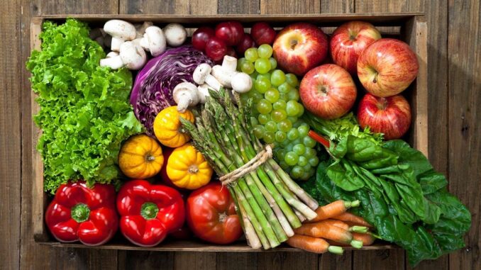benefits of a vegetarian diet